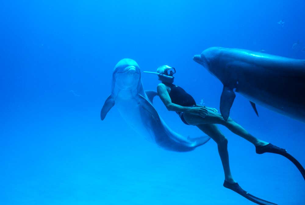 Αποτέλεσμα εικόνας για Dolphin Man di Lefteris Charitos
